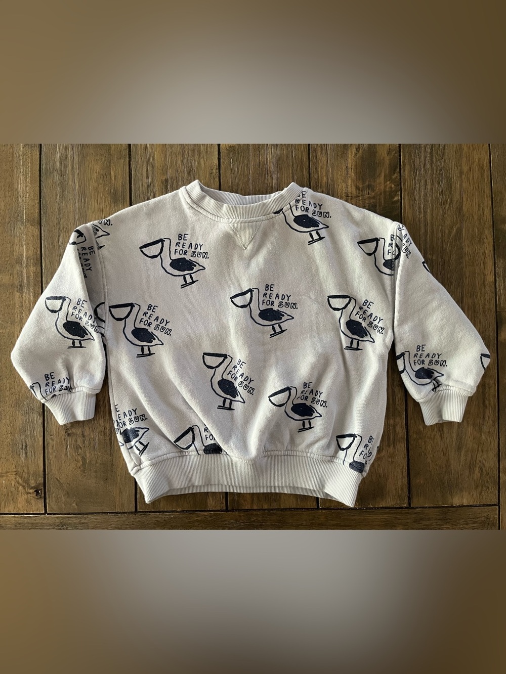 Zara Light Blue Boys Crewneck Sweatshirt with Navy Pelican Print size 4-5yrs